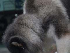 -常乐·对症推拿(来福士第43分店)