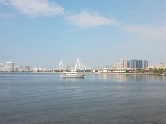 -万绿园