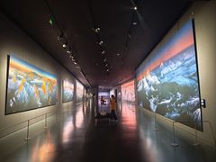 -罗红摄影艺术馆