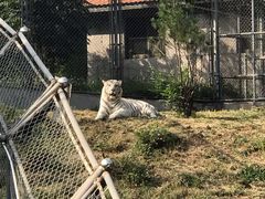 -石家庄市动物园