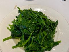 清炒豌豆尖-眉州东坡(华联万柳店)