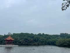 -广州莲花山旅游区
