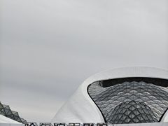 -哈尔滨大剧院