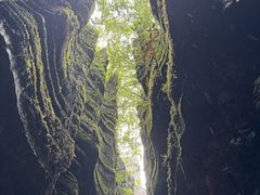 -梭布垭石林景区