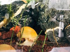 -平行世界·猫咖(首经贸店)