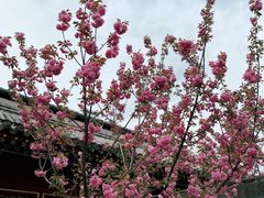 -荣国府