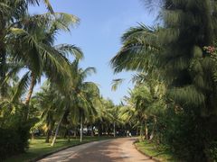 -白沙门生态公园