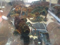 -超级物种·波龙工坊(国贸店)