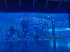 -波塞冬海底世界