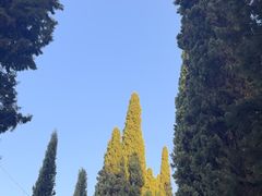 -阿尔罕布拉宫