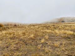 -红崖峡谷景区