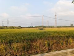 -嘉北郊野公园