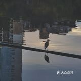 深圳游玩｜来荔枝公园打卡深圳超美水天辉映的建筑风光