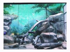 -福州罗源湾海洋世界旅游区