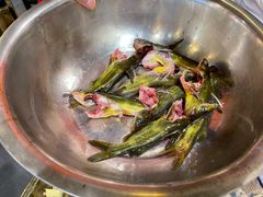 三角峰-肖肖酸萝卜鱼火锅(总店)