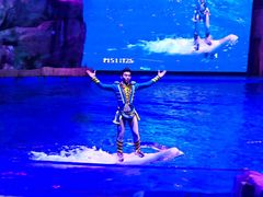 -芜湖新华联大白鲸海洋公园