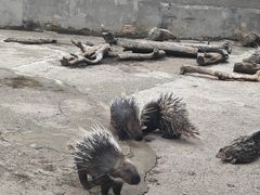 -昆明动物园