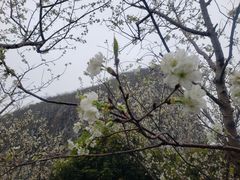 -南溪山景区