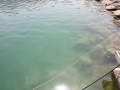 -天鹅湖生态旅游风景区