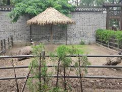 -扬州市茱萸湾风景区
