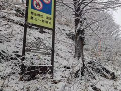 -东白山