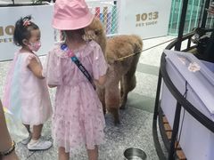 -1013 PET SHOP 宠物商店(近铁城市广场店)