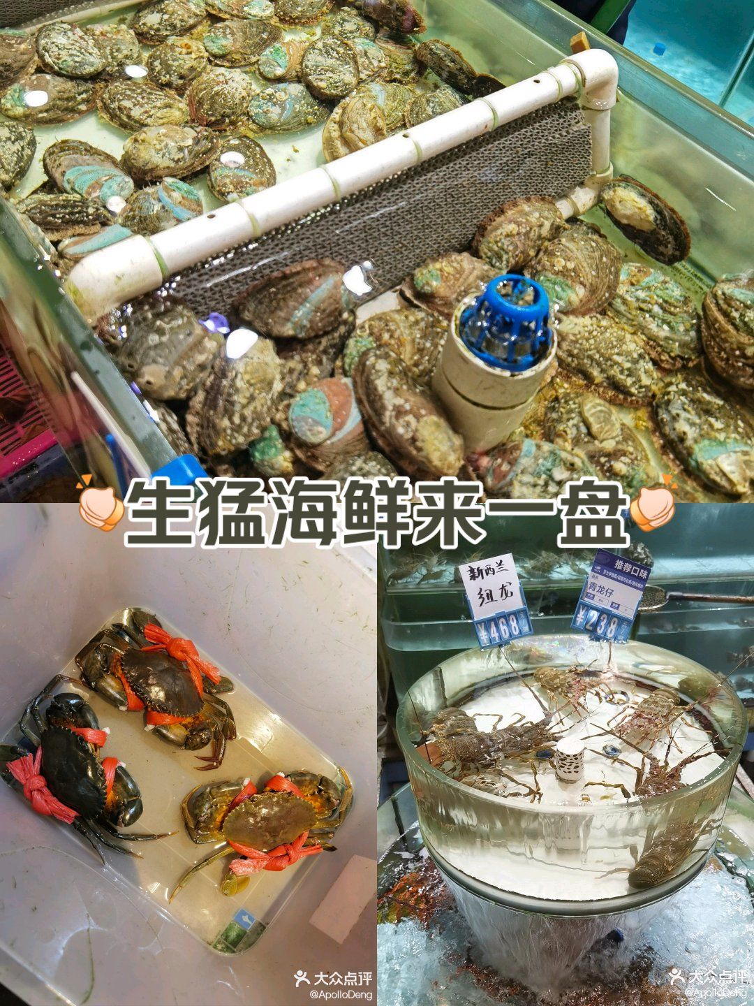 🦐 强记海鲜团建好选择 🍲
