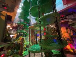 -恐龙探索乐园(磁器口店)