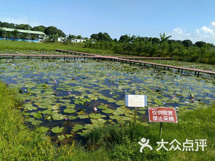 偉豐生態農場圖片 - 第47張