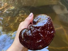 -仁爱团泊湖温泉中心