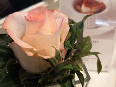-PAUL LAFAYET 法式甜品(港汇广场店)