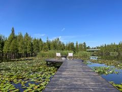 -白鹭湾湿地公园