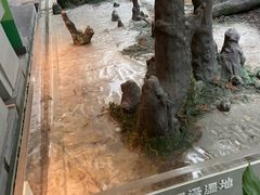 -中国湿地博物馆