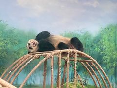 -杭州动物园