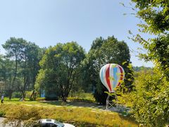 -铁山坪森林公园