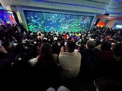 -海合安成都极地海洋公园