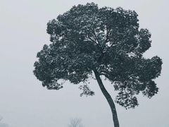 -江阴敔山湖公园