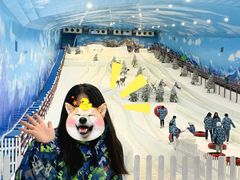 -世界之窗阿尔卑斯冰雪世界