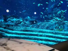 -亚特兰蒂斯•OSSIANO奥西亚诺海底餐厅