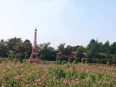 -季高兔窝窝亲子园(上海薰衣草公园店)