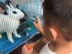 -东风公园