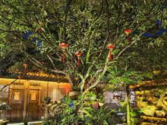 -青城甲(青城山店)