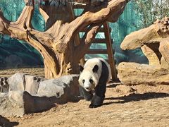 -秦皇岛野生动物园