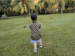 -三亚亚龙湾天域度假酒店