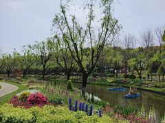 -上海鲜花港