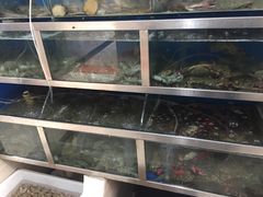 -宾朋海鲜特色美食餐厅·纯手工鲅鱼水饺(兴海路店)