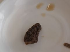 -太婆天府山珍酒楼(亚运村店)