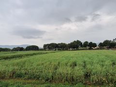 -光明小镇欢乐田园