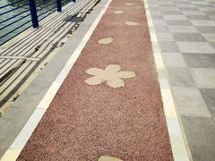 -高东镇樱花园