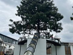 -云禾壹海景庄园餐厅